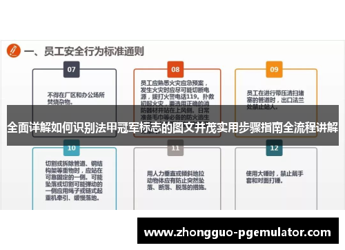 全面详解如何识别法甲冠军标志的图文并茂实用步骤指南全流程讲解 全面详解如何识别法甲冠军标志的图文并茂实用步骤指南全流程讲解