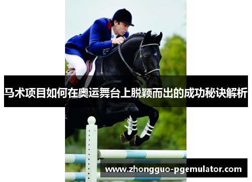 马术项目如何在奥运舞台上脱颖而出的成功秘诀解析